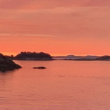 Eksklusiv Rorbu - Havblikk 1 - Batutleie Villa Bekkjarvik ภายนอก รูปภาพ