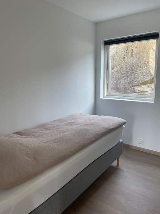 Eksklusiv Rorbu - Havblikk 1 - Batutleie Villa Bekkjarvik ภายนอก รูปภาพ
